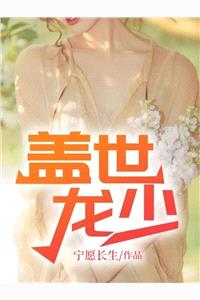 盖世龙少封面